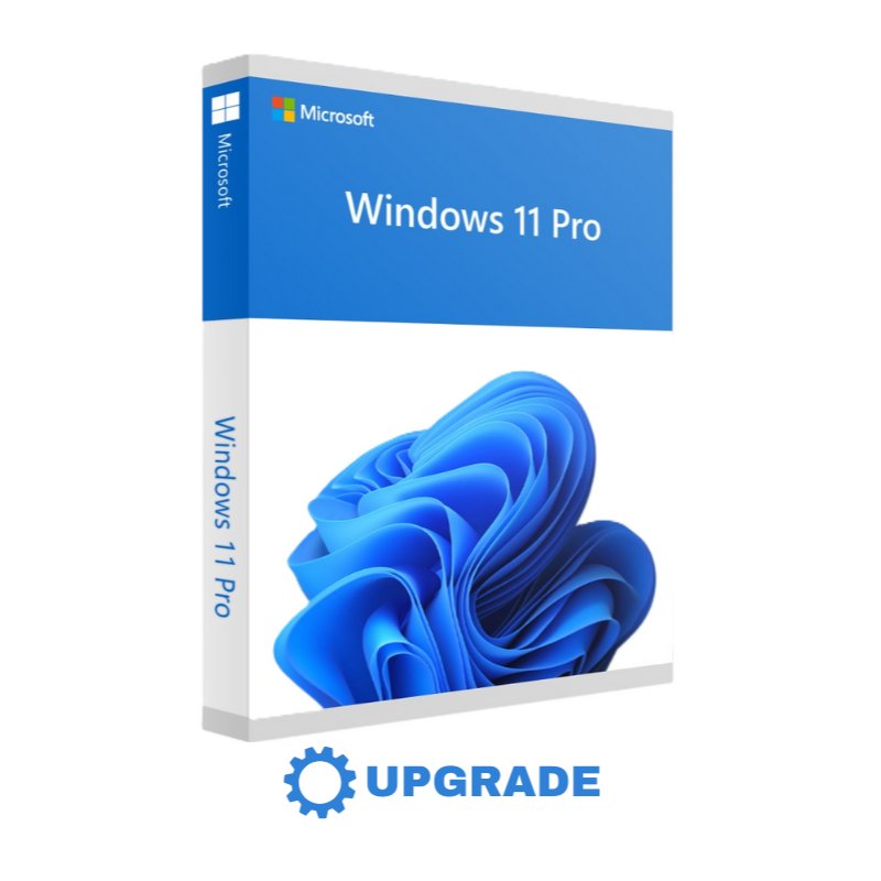 Upgrade Windows 11 Home to Professional