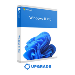 Upgrade Windows 11 Home to Professional