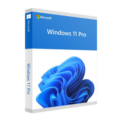 Microsoft Windows 11 Pro (OEM)